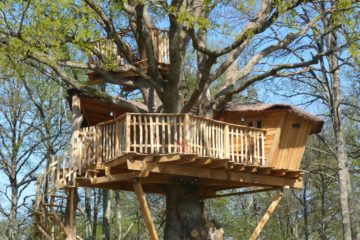 la doyenne - Tiny-house dans les arbres France