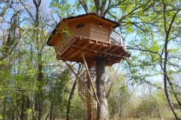 Les cimes - Cabane formidable perchée dans les arbres près de Poitiers